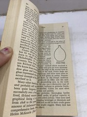 How To Know American Antiques – Alice Winchester (1951, Paperback)