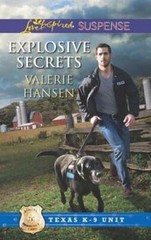 Explosive Secrets by Valerie Hansen: Used
