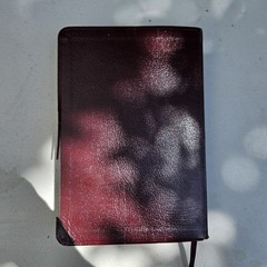 The Jack Van Impe Prophecy Bible KJV Red Letter Limited Edition Leather Bound