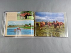 Horses Photo Book Parragon 2010 Illustrated Majestic Animals Equestrian