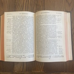 1911 Nouum Testamentum Latine New Testatment Oxford Ed Latin Language Pocket