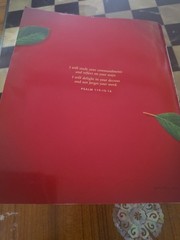 The One Year Bible Reflections (Softcover) by Tyndale NLT