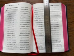 Catholic Chinese Bible Studium Biblicum 思高圣经 天主教 简体中文大字 25K 红边 US Stock 美国本土包邮发货