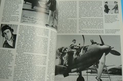 The Dynamite Gang, The 367th Fighter Group in WWII, Richard Groh, Aero, LN 1983
