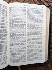 Holy Bible Temple Illustrated Edition King Solomon’s Temple Masonry Holman