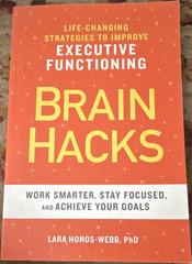Callisto Publishing Brain Hacks Lara Honos-Webb Trade Paperback