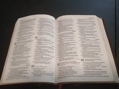 TYNDALE Slimline Reference Bible NLT Brown Cover Christ’s Words in Red 6″ x 8″