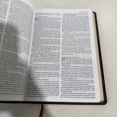Holy Bible Tyndale Slimline Reference Edition ~ 2004 Bonded Leather Burgundy NLT