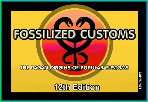 Fossilized Customs book (new)