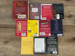 BOYS Chapter Books Lot of 11 ~ 8-12 Years Old – Classroom Library Homeschool