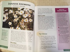 (D6.14) Lot of 3 Books: PERENNIALS and SHADE GARDENS