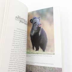 Javelinas Collared Peccaries of the Southwest by Jane Manaster PB 2006 84 Pages