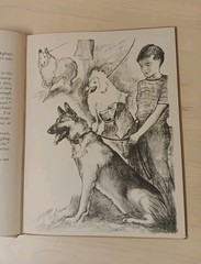 Big boy, by Robinson, W. W The Macmillan Company A Wartime Book 1944 Read