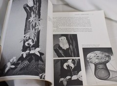 Vtg Erica Wilson Embroidery Book Sewing Stitches Needlepoint 1973 MCM 360+ pages