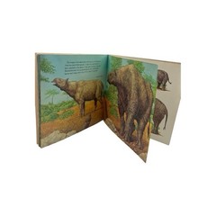 Prehistoric Animals By Peter Zallinger Childrens Book Random House Vintage 1978