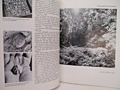 Florida’s Fossils by Brown Guide to Location, Identification and Enjoyment book