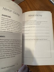 The Shadow Work Journal: A Guide to Integrate and Transcend your Shadows