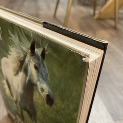 Such Is the Real Nature of Horses by Robert Vavra (1998, Hardcover/Dust Jacket)
