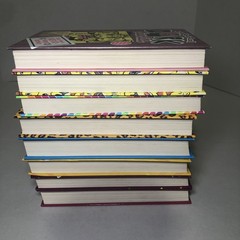 Lot 8 Dork Diaries by Rachel Renee Russell Hard Cover Exclusive Edition