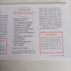 1996 BON APPETITE MINI COOKBOOK „TASTES OF THE WORLD” 102 PAGES