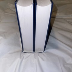 The Bhagavad Gita by Paramahansa Yogananda, 2 Volume Box set Hardcover