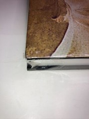 The Bible is History by Ian Wilson History/Religion