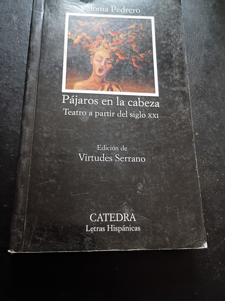 VIRTUDES SERRANO/PAJAROS EN LA CABEZA, PALOMA PEDRERO PB