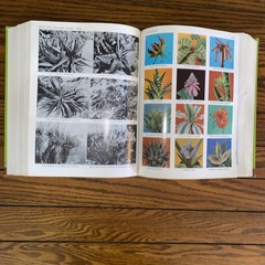 Exotica Pictorial Cyclopedia of Exotic Plants, Series 3, 6th Edition A.B. Graf