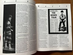 DAVID BOWIE (Book) The Starzone Interviews. 128 pages. Omnibus Press. 1985. EX