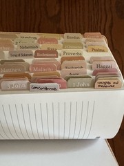 ESV The Jesus Bible in Light Peach Floral Leathersoft