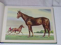 Horse Lithographs Prints Around the World with Horses Book Sam Savitt 1962 HC