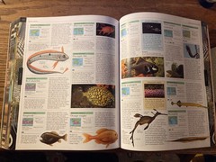 Smithsonian Institution Animal : The Definitive Visual Guide to the World’s…