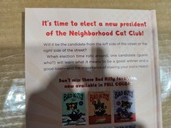 Bad Kitty For President Hardcover Roaring Brook Press Nick Bruel 2021