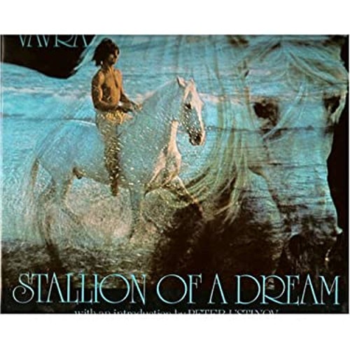 Stallion of a Dream Hardcover Robert Vavra