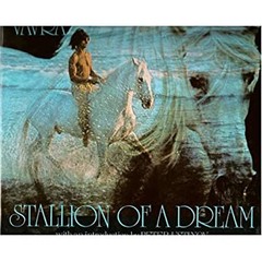 Stallion of a Dream Hardcover Robert Vavra