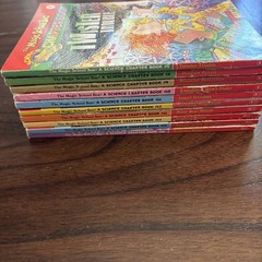 The Magic School Bus Chapter Book Lot Of 10. #5,8-16