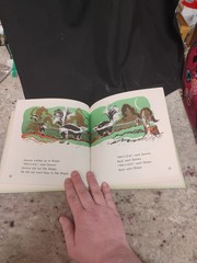 Skippy, The Skunk by Gene Darby