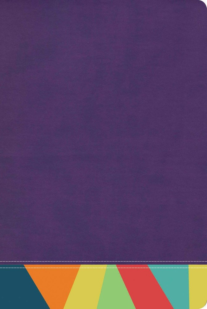 Reina Valera 1960 Biblia de Estudio Arcoíris, morado/multicolor | RVR 1960 …