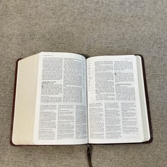 New Living Translation Study Bible Personal Size Edition Leatherlike Brown