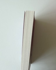 RACHEL REID – TOUGH GUY Signed/autographed book (author of HEATED RIVALRY)