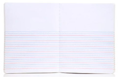 2 Mintra Primary Composition Notebook (k-2) 80 sheets (9.75 x 7.5 in)