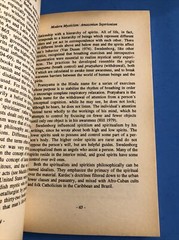 Amazon Healer : The Life and Times of an Urban Shaman / 1992