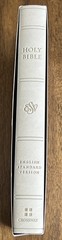 ESV Large Print Value Thinline Bible (Trutone, River Stone, Branch Design): New