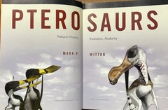 Pterosaurs: Natural History, Evolution, Anatomy / Mark Witton / Princeton HC