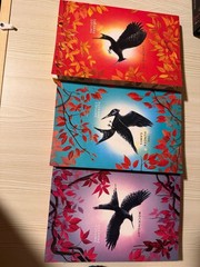 The Hunger Games Trilogy Deluxe Edition Paperback Box Set