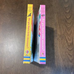 Usborne Little Peek Through Are You There Little Unicorn and Dinosaur Boardbooks