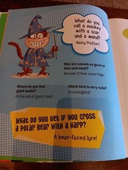 The Extremely Silly Joke Book: Sally Lindley & Joe Fullman, 255 Pages, Kids