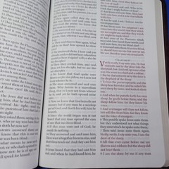 The Jack Van Impe Prophecy Bible Red Letter King James Limited Ed Gilt Pages