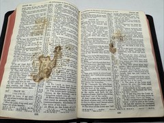 Holy Bible – King James Version – French Morocco Leather – Oxford