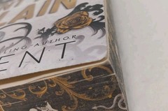 Rina Kent – Hunt The Villain, Walmart Edition, Sprayed Edges, Paperback